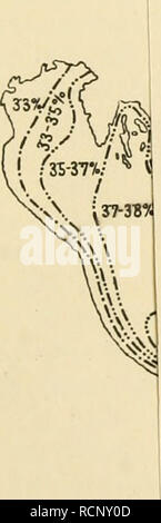 . Decapodenfauna Die Adria : Versuch einer Monographie. (Crustacea Decapoda) ; Crustacea. t. Qberflächensaligel LHichLukschu^WalF.u. Hunde.). Veuillez noter que ces images sont extraites de la page numérisée des images qui peuvent avoir été retouchées numériquement pour plus de lisibilité - coloration et l'aspect de ces illustrations ne peut pas parfaitement ressembler à l'œuvre originale.. Pesta, Otto, 1885-. Leipzig : F. Deuticke Banque D'Images