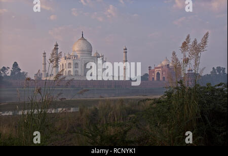 Taj Mahal voir tôt le matin Banque D'Images