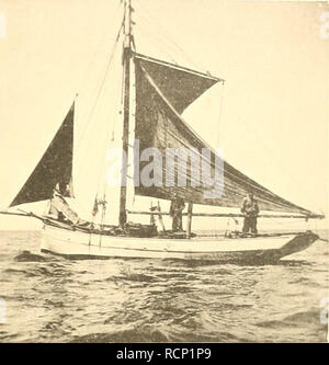 . Un Garneelenfischerei Die preussischen Küste der oldenburgischen und bis zum Dollart. La crevette -- L'Allemagne, la crevette -- Mer du Nord. l-'iK. 13. BUsum. Hafen mit. Gariieelenkuttcni. 1-1- 14. Süder Piep. Von Büsuin GarneelcMikvittPi- mit dci- Kum- am (iriirid.. Veuillez noter que ces images sont extraites de la page numérisée des images qui peuvent avoir été retouchées numériquement pour plus de lisibilité - coloration et l'aspect de ces illustrations ne peut pas parfaitement ressembler à l'œuvre originale.. Henking. [S. l.  : S. n. Banque D'Images