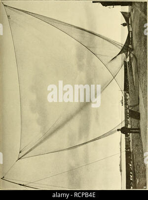 . Die Beteiligung deutschlands an der internationalen Meeresforschung : Bericht. Ocean ; Pêche ; biologie marine ; pêche ; la pêche. . Veuillez noter que ces images sont extraites de la page numérisée des images qui peuvent avoir été retouchées numériquement pour plus de lisibilité - coloration et l'aspect de ces illustrations ne peut pas parfaitement ressembler à l'œuvre originale.. Deutsche Kommission für wissenschaftliche Meeresforschung. Berlin : Wissenschaftliche Kommission Banque D'Images