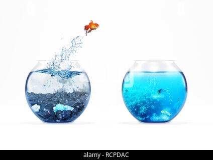 Amélioration et déménagement concept avec un poisson rouge sautant d'un aquarium à un sale nettoyer un Banque D'Images