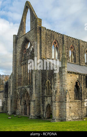 Fin de l'abbaye de Tintern Monmouthshire Tintern Banque D'Images