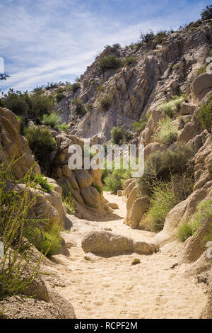 Canyon rocheux étroit sur la piste vers l'oasis de palmiers perdu, Joshua Tree National Park, Californie Banque D'Images