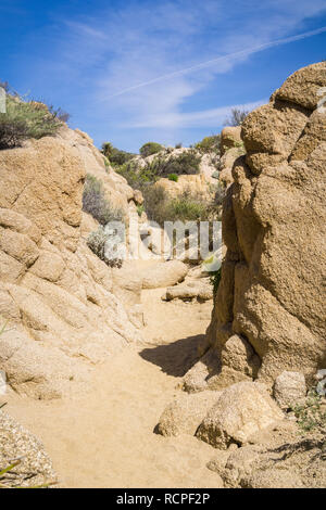 Canyon rocheux étroit sur la piste vers l'oasis de palmiers perdu, Joshua Tree National Park, Californie Banque D'Images