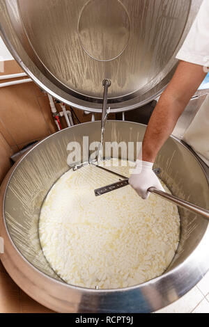 La production industrielle de fromage. L'industrie du fromage Banque D'Images