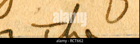 . Journal No. II [2], le 29 janvier 1928-27 mai 1928. L'entomologie, ornithologie, mammalogie ; Ichthyologie ; . . Veuillez noter que ces images sont extraites de la page numérisée des images qui peuvent avoir été retouchées numériquement pour plus de lisibilité - coloration et l'aspect de ces illustrations ne peut pas parfaitement ressembler à l'œuvre originale.. Graham, David Crockett. Banque D'Images