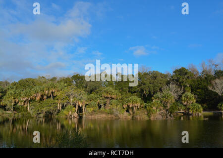 Reflet de rivage à Kathryn Abbey Hanna Park, comté de Duval, Jacksonville, Floride. Banque D'Images