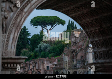 Arch of Septimius Severus dans le Forum romain au crépuscule