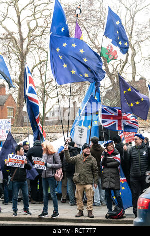 Les manifestants se rassemblent à l'extérieur du Parlement avant le vote utile (MV) sur l'accord de retrait Brexit, Westminster London UK 15 Janvier 2019 Banque D'Images