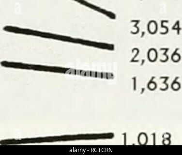 . L'élaboration d'un plan de cosmides chromosome 12p13. Sweet Briar College ; les chromosomes. ^ ^0*N 6 108 â â 5 090^^^ ^^â '-&gt ;/^ 4 072. 396 344 298 220 201 154 134 a) b) Figure 11. a) de l'électrophorèse sur gel d'agarose. b) de l'échelle de 1 Ko. C'est l'ADN de la taille des fragments connus qui est gérée comme une norme pour la migration de taille sur tous les gels d'agarose qui sont electrophoresed. La détection des bandes par la lumière ultraviolette exige le gel pour être soit faite par le bromure d'éthidium (0,5 |ag/ml) ou d'être coloré au bromure d'éthidium (200 ng/ml) avant de photographier (figure 12). Comme le bromure d'éthidium est un carcino Banque D'Images