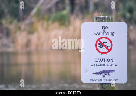 Alligators panneau danger à Kathryn Abbey Hanna Park, comté de Duval, Jacksonville, Floride. Banque D'Images