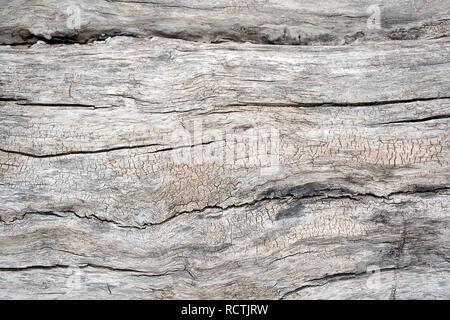 Close up de gris et brun rustique en bois patiné Banque D'Images