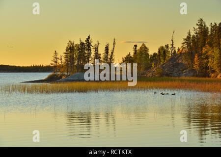 Rivage du lac Long, Fred Henne Territorial Park, Yellowknife, Territoires du Nord-Ouest, Canada Banque D'Images