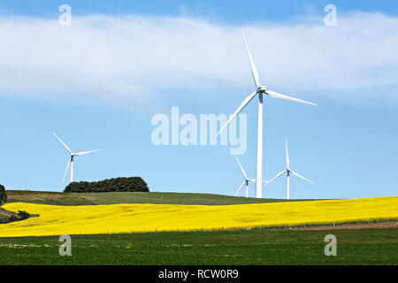 Parc éolien écologique à Waubra Victoria Australie. Banque D'Images