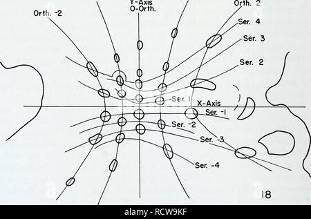 . L'anatomie développementale de l'Isoetes. L'Isoetes, la botanique. Orth. -J'Y-Axis Orth. J'Orth. -2. Fig. 17 et 18. Les sections transversales dans la même série que les figures 15 et 16, à des niveaux supérieurs dans l'usine. X 80. Fig. 17. Un niveau proche du méristème basal. Les traces sont bondés. La série n'est plus convergent avec l'axe des x. Fig. 18. Au niveau de la récente des dérivés du méristème basal. Tous les primordia au sein de la série plus jeunes sont inscrits dans les limites de l'orthos- tichies -2 et 2. La série s'écarter de l'axe des x.. Veuillez noter que ces images sont extraites de l'ima page numérisée Banque D'Images