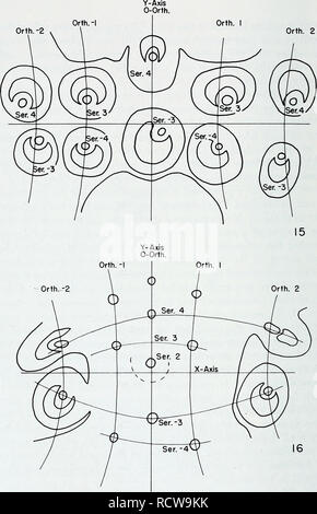 . L'anatomie développementale de l'Isoetes. L'Isoetes, la botanique. Orth.-2 Orth. J'Orth. 2. Fig. 15 et 16. Décrit des racines et l'emplacement des traces de racines dans des coupes transversales d'une plante de taille moyenne. X 50. La figure 16 est à un niveau plus élevé dans l'usine de la figure 15. Le sillon basal s'exécute de gauche à droite pour que les dessins peuvent être visualisées dans une position standardisée sur les axes x et y. Série de racines sont numérotés selon l'information obtenue à partir de l'étude de coupes sériées. D'autres articles de la série sont tirées dans les figures 17, 18 et 19. Explications des figures sont dans le texte. En f Banque D'Images