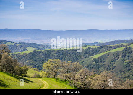 Collines et vallées verdoyantes dans Henry W. Coe State Park, vue en direction de Morgan Hill et San Martin, Californie Banque D'Images