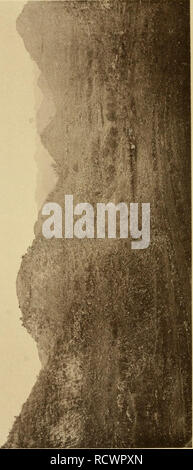 . Description géologique de Java et Madoura. Géologie ; géologie ; Volcans ; foraminifères et combustibles. . Veuillez noter que ces images sont extraites de la page numérisée des images qui peuvent avoir été retouchées numériquement pour plus de lisibilité - coloration et l'aspect de ces illustrations ne peut pas parfaitement ressembler à l'œuvre originale.. Verbeek, R. D. M. (Rogier Diederik Marius), 1845-1926 ; Fennema, Rinder, 1849-1926. Amsterdam, J. G. Stemler cz. Banque D'Images