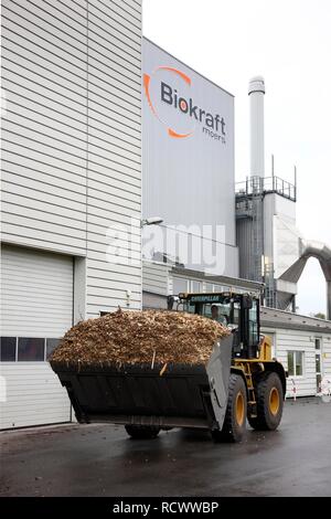 Soute à combustible, de là, les copeaux de bois sont transportés à la chaudière de l'usine de cogénération à la biomasse, une production combinée de chaleur et d'électricité Banque D'Images