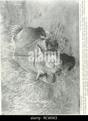 . Der Zauber des Elelescho. - 285 -. Veuillez noter que ces images sont extraites de la page numérisée des images qui peuvent avoir été retouchées numériquement pour plus de lisibilité - coloration et l'aspect de ces illustrations ne peut pas parfaitement ressembler à l'œuvre originale.. Schillings, Karl Georg, 1865-1921. Leipzig, R. Voigtler Banque D'Images