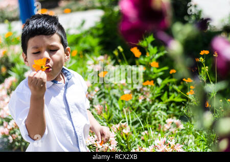 Beau jeune garçon avec des yeux soufflant une marguerite. Banque D'Images