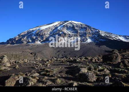 Vue du sommet du mont Kilimandjaro, vus de la Barranco Hut, Tanzania, Africa Banque D'Images