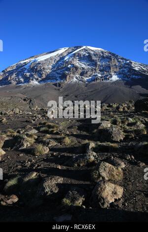 Vue du sommet du mont Kilimandjaro, vus de la Barranco Hut, Tanzania, Africa Banque D'Images