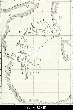 . Une description des caractéristiques océanographiques de l'est du golfe du Mexique, août 1968.. L'océanographie. 31. Veuillez noter que ces images sont extraites de la page numérisée des images qui peuvent avoir été retouchées numériquement pour plus de lisibilité - coloration et l'aspect de ces illustrations ne peut pas parfaitement ressembler à l'œuvre originale.. Schneider, Michael John. Texas A Banque D'Images