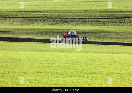 Le hersage du tracteur d'un champ, la préparation du sol pour les semis de cultures nouvelles, Eschweiler, Rhénanie du Nord-Westphalie Banque D'Images