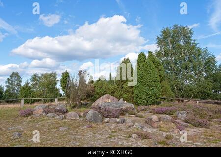 La Tombe d'Hannibal, Lueneburg Heath, Basse-Saxe Banque D'Images