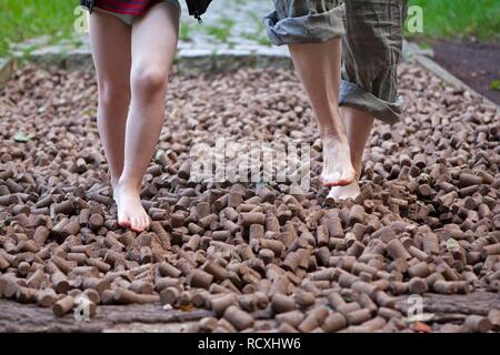 Enfants sur Sentier pieds nus, Barfusspark Egestorf, barefoot park, détail de les pieds des enfants, Luneburg Heath, Basse-Saxe Banque D'Images