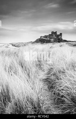 En Angleterre, Northumberland, Château de Bamburgh, herbe. Une longue exposition sur soirée d'été terne alors que sur les dunes de la côte de Northumberland à t Banque D'Images