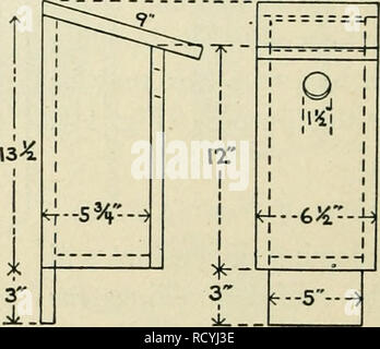 . La circulaire du ministère. L'agriculture. Fig. 13. - Fort utilisé par sittelle à poitrine blanche. Sittelle à poitrine rouge. - Cet oiseau a niché dans un nichoir Berlepsch n° 2 faites du bouleau jaune par la Meriden Bird House Company, Manchester, New Hampshire, et placé dans un arbre, le bouleau gris plutôt en terrain découvert, avec l'entrée un peu plus de 7 pieds au-dessus du sol. Le trou d'entrée est si pouces de diamètre. C'est rapporté par M. H. S. Shaw, Jr. ; de Douvres, Massa- chusetts, et est le seul cas, en ce qui concerne mes dossiers show, où une sitelle à poitrine a niché dans un nichoir. Mésange à tête noire. - Une boîte comme Banque D'Images