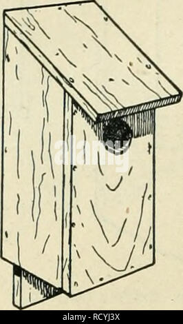 . La circulaire du ministère. L'agriculture. 14 Sittelle à poitrine blanche. - Un fort effectivement occupée par cet oiseau en 1914 5 mesurée par 5 pouces (dimensions intérieures). Hauteur 12 pouces ; avant 13| pouces en arrière. Avant d'entrée, près du haut, 1^ pouces de diamètre (Fig. 13). M. J. T. Melius de Wellesley écrit que cette espèce a niché dans une maison d'oiseau avec double-toit en pente, et le long de l'axe horizontal. Les dimen- sions ont été de 8 pouces de long, 6 pouces de large, et 7 pouces de haut. L'entrée était 1| pouces de diamètre et environ 4 pouces au-dessus du fond. Une petite plate-forme a été faite juste en dessous de l'en- trance, un Banque D'Images