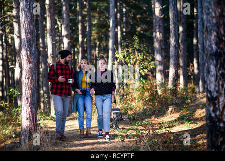 Groupe d'amis en randonnée dans la forêt Banque D'Images