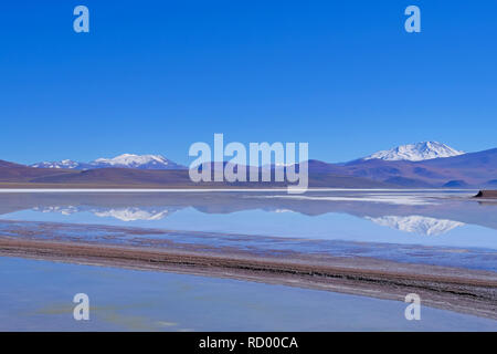 Beau vert et bleu lagoon Laguna Brava, un lac salé dans l'Andes, près de Paso Pircas Negras, Argentine Banque D'Images