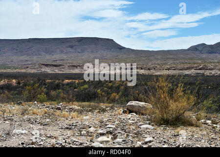 Pierce Ferry Road, paysages Meadview. Le Parc National du Grand Canyon, Arizona, USA Banque D'Images