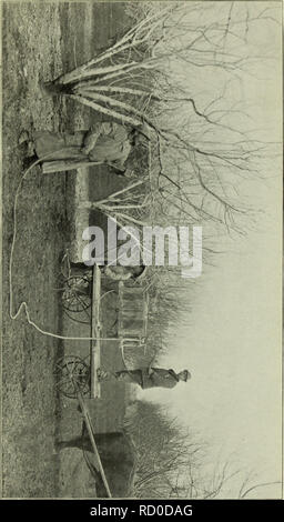 . Bulletin du Ministère. Bull. 20, Div. Veg. Phys. &Amp ; Chemin., U. S. Dppt. de l'Agriculture. XXVI la plaque.. Veuillez noter que ces images sont extraites de la page numérisée des images qui peuvent avoir été retouchées numériquement pour plus de lisibilité - coloration et l'aspect de ces illustrations ne peut pas parfaitement ressembler à l'œuvre originale.. United States. Ministère de l'Agriculture ; Patterson, de la flore. Les champignons . . ; Pierce, Newton Barris. Peach leaf curl . .. Washington, gouvernement. L'impression. L'arrêt. Banque D'Images