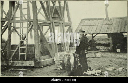 . Bulletin du Ministère. Bull. 20, Div. Veg. Pnys. &Amp ; Chemin., U.S. Dept. of Agriculture. XXII de la plaque.. Veuillez noter que ces images sont extraites de la page numérisée des images qui peuvent avoir été retouchées numériquement pour plus de lisibilité - coloration et l'aspect de ces illustrations ne peut pas parfaitement ressembler à l'œuvre originale.. United States. Ministère de l'Agriculture ; Patterson, de la flore. Les champignons . . ; Pierce, Newton Barris. Peach leaf curl . .. Washington, gouvernement. L'impression. L'arrêt. Banque D'Images