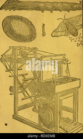 . Dennis' ; manuel de la soie. Les vers à soie. [From old catalog] ; l'industrie de la soie. . Veuillez noter que ces images sont extraites de la page numérisée des images qui peuvent avoir été retouchées numériquement pour plus de lisibilité - coloration et l'aspect de ces illustrations ne peut pas parfaitement ressembler à l'œuvre originale.. Dennis, Jonathan, jr. [From old catalog]. New-York, M. Day &AMP ; co. Banque D'Images