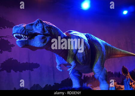 Tyrannosaurus rex dans la galerie des dinosaures au Natural History Museum, Londres Banque D'Images