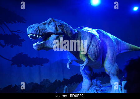 Tyrannosaurus rex dans la galerie des dinosaures au Natural History Museum, Londres Banque D'Images