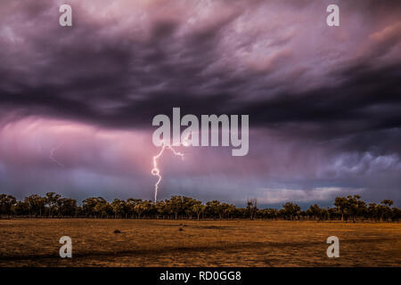 Orage dans l'outback, Queensland, Australie Banque D'Images