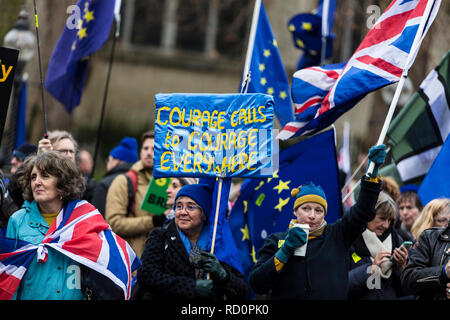 Londres, Royaume-Uni - 15 janvier 2019 : les militants anti Brexit rally devant les Maisons du Parlement à Westminster sur l'brexit traiter vote Banque D'Images