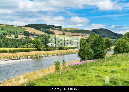 La rivière Tweed à Melrose, façon des hautes terres du Sud, la région des Borders, Scotland, UK. Banque D'Images