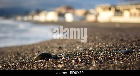 Galets sur la plage. Cavi di Lavagna. Tigullio. La Ligurie. Italie Banque D'Images
