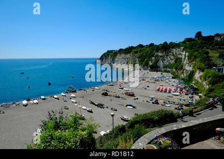 Vue sur la plage de Beer, site classé au patrimoine mondial de l'UNESCO, East Devon. ROYAUME-UNI Banque D'Images