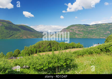 Ornes sur la rive de la Lustrafjord, vu de la route de l'église d'Ornes Banque D'Images