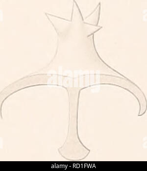 . Le Ingolf-Expedition danois. Expéditions scientifiques ; Océan Arctique. à lir. J. Veuillez noter que ces images sont extraites de la page numérisée des images qui peuvent avoir été retouchées numériquement pour plus de lisibilité - coloration et l'aspect de ces illustrations ne peut pas parfaitement ressembler à l'œuvre originale.. Ingolf (Cruiser) danois (Ingolf-Expedition ; 1895-1896). Copenhague : H. Hagerup Banque D'Images