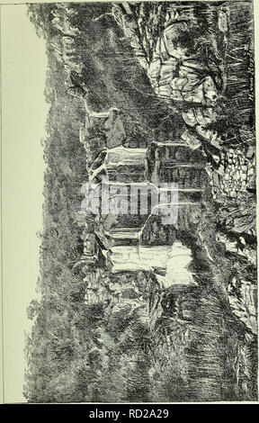 . De Angola á contre-costa, descripção de uma viagem continente africano-atravez. L'histoire naturelle. 1 s. Veuillez noter que ces images sont extraites de la page numérisée des images qui peuvent avoir été retouchées numériquement pour plus de lisibilité - coloration et l'aspect de ces illustrations ne peut pas parfaitement ressembler à l'œuvre originale.. Capello, Hermenegildo Carlos de Brito, 1841-1917 ; Ivens, Roberto, 1850-1898. Lisboa Impr. Nacional Banque D'Images